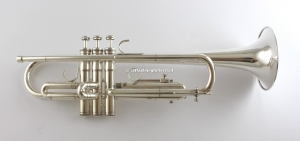 Anteprima